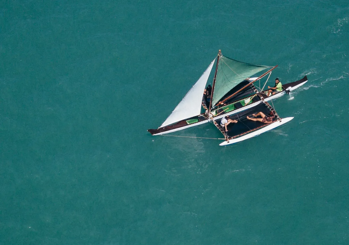 Whitsunday Eco Adventure Tour Whitsunday Eco Adventure Tour
